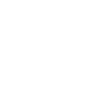 Search Icon